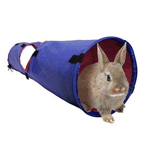Túnel para mascotas pequeñas de Living World